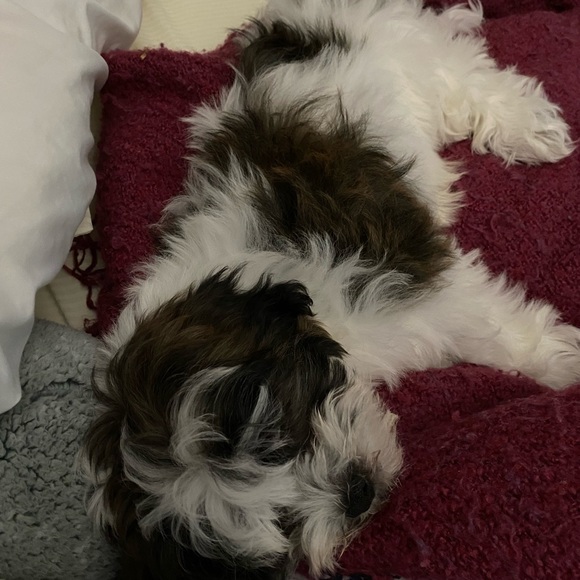 Posh Ambassador! - Picture 8 of 8